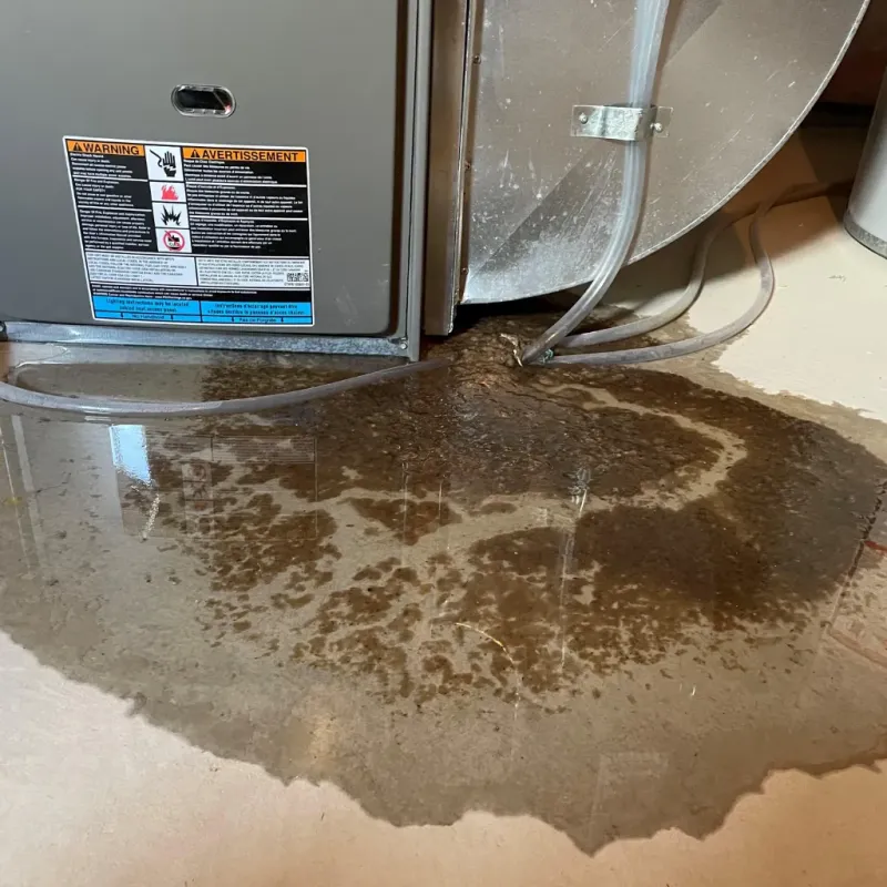 Appliance Leak Cleanup in Montgomery, AL